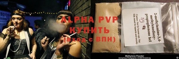 стаф Алзамай