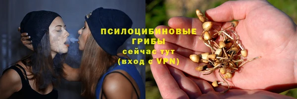 стаф Алзамай