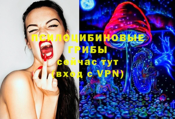 стаф Алзамай