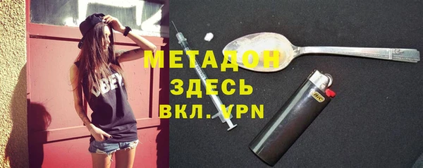 стаф Алзамай