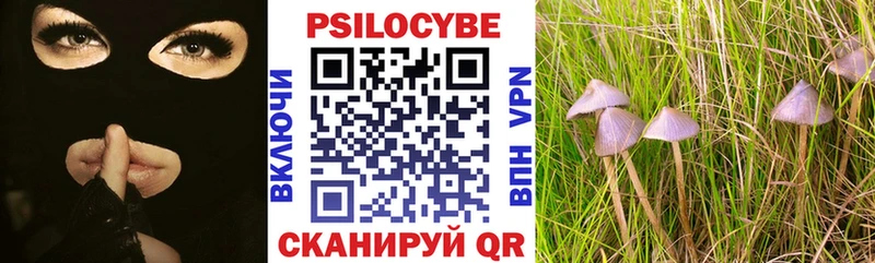 Псилоцибиновые грибы ЛСД  гидра зеркало  Полтавская 
